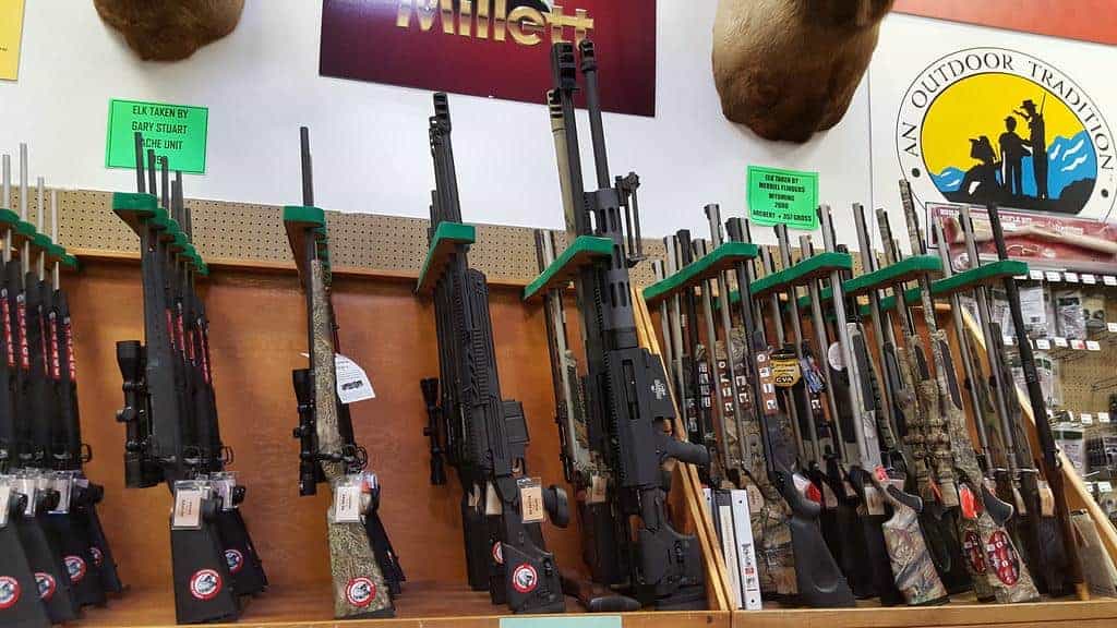 24 Military Style Firearms You Can Legally Own in America