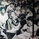 Brown v. the Board of Education