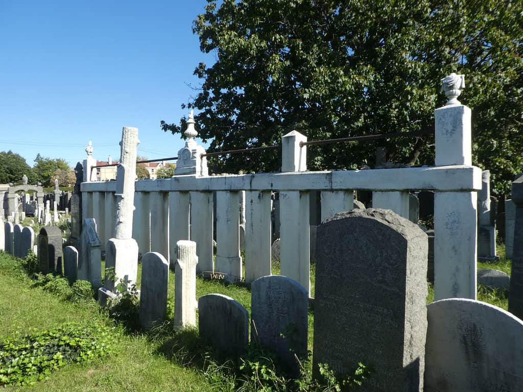 The Triangle Shirtwaist Factory Fire