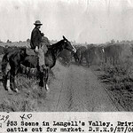 The Homestead Act