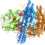 Botulinum Toxin Weapons