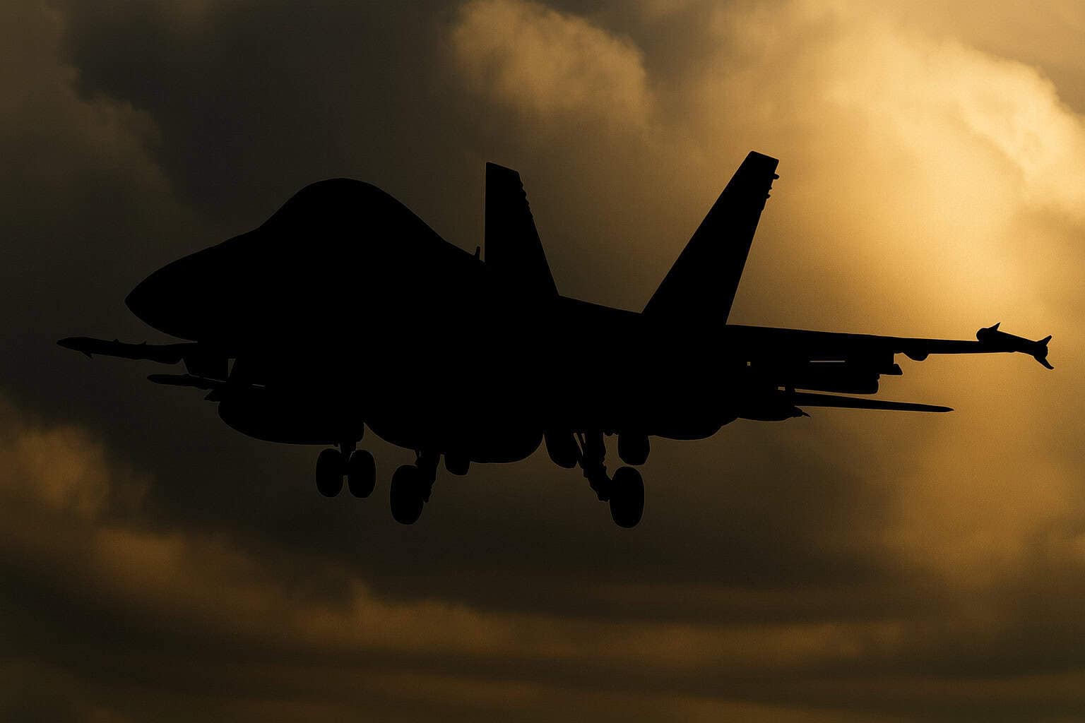 Can You Guess This Fighter Jet?