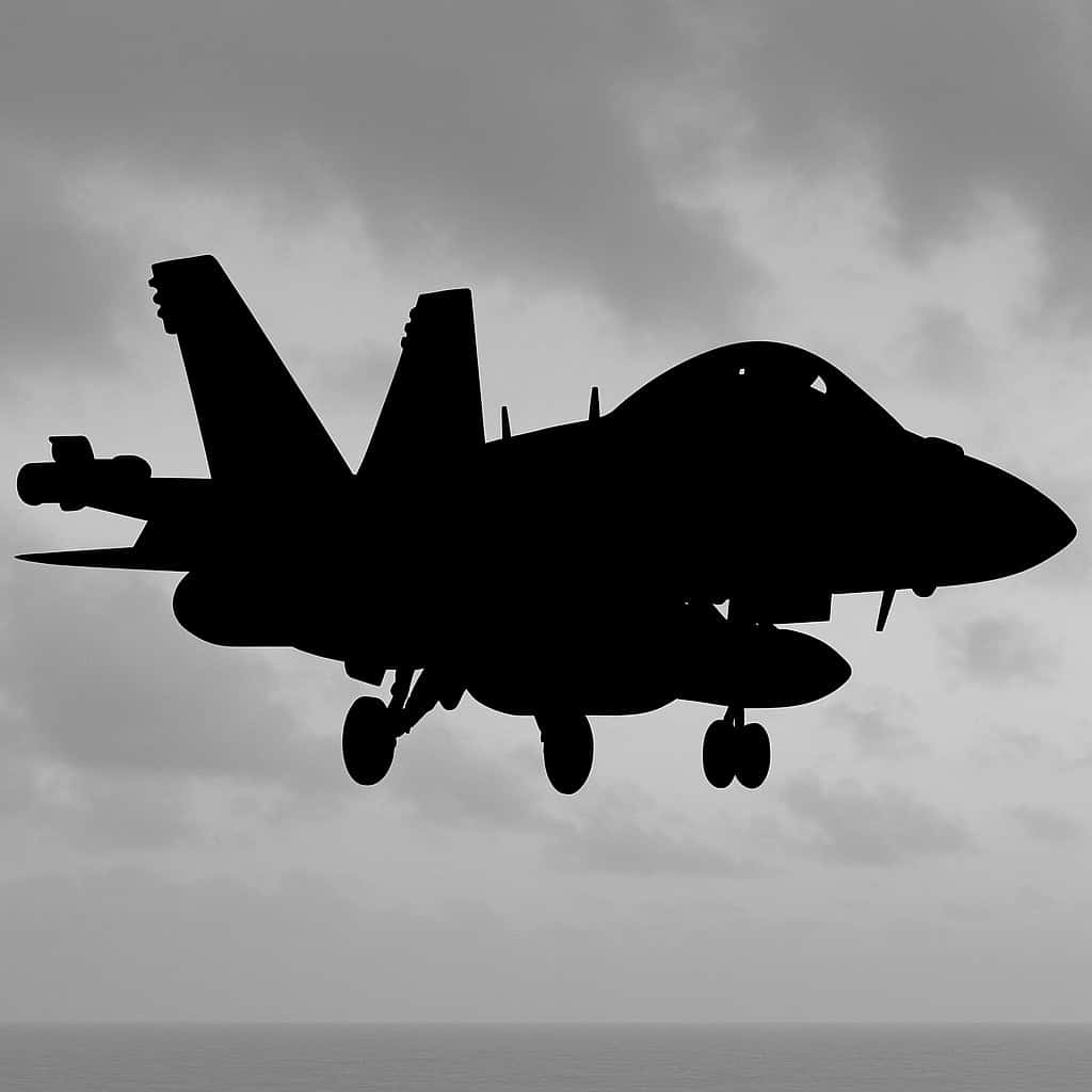 Can You Guess This Fighter Jet?