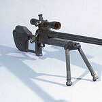 20. RAI Model 300 / Model 500 (Haskins Rifle)