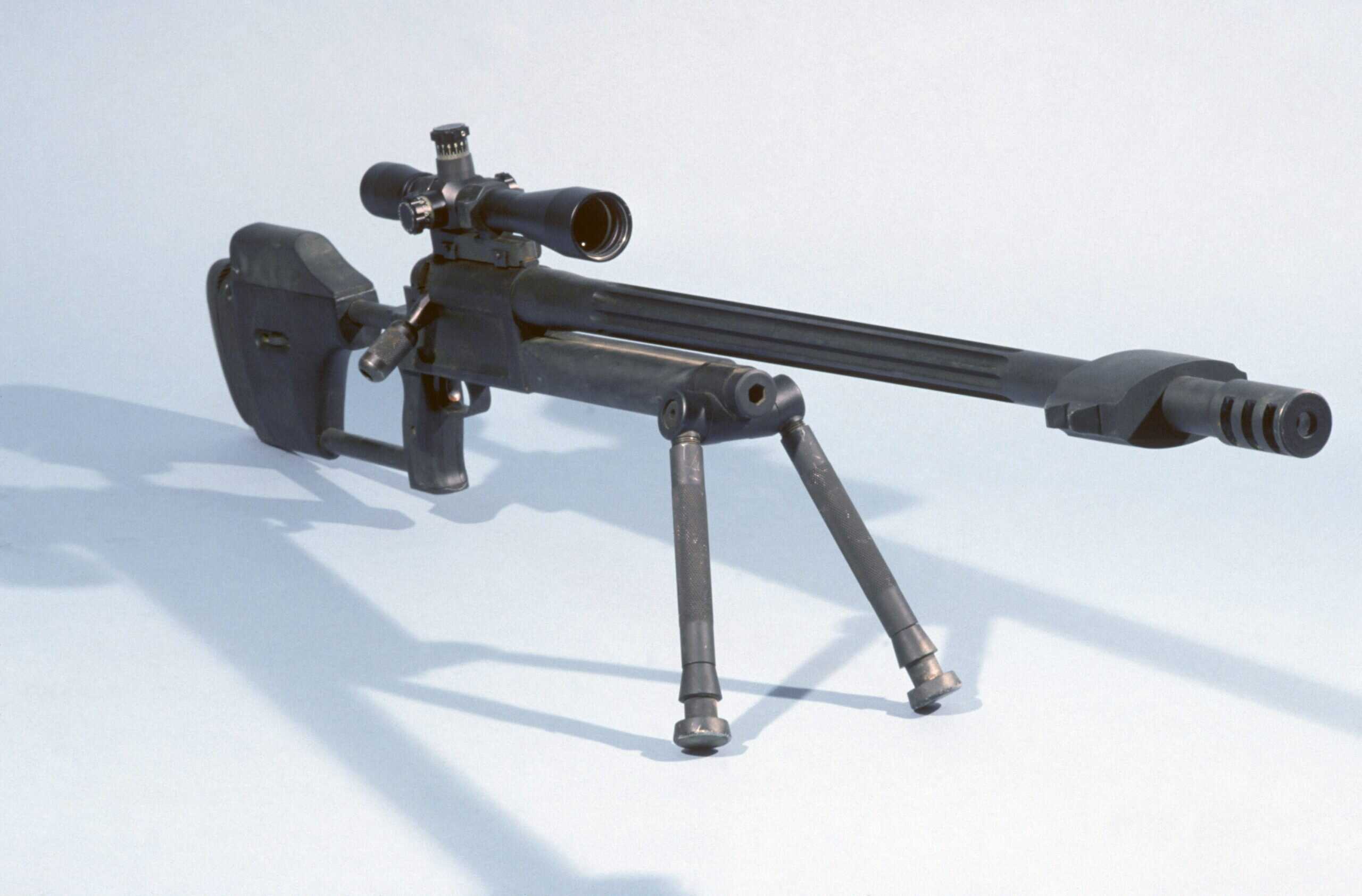 20. RAI Model 300 / Model 500 (Haskins Rifle)