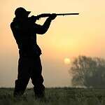 Collectors Are Paying Millions for These 20 Ultra-Rare Rifles