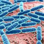 Biological Toxin Weapons