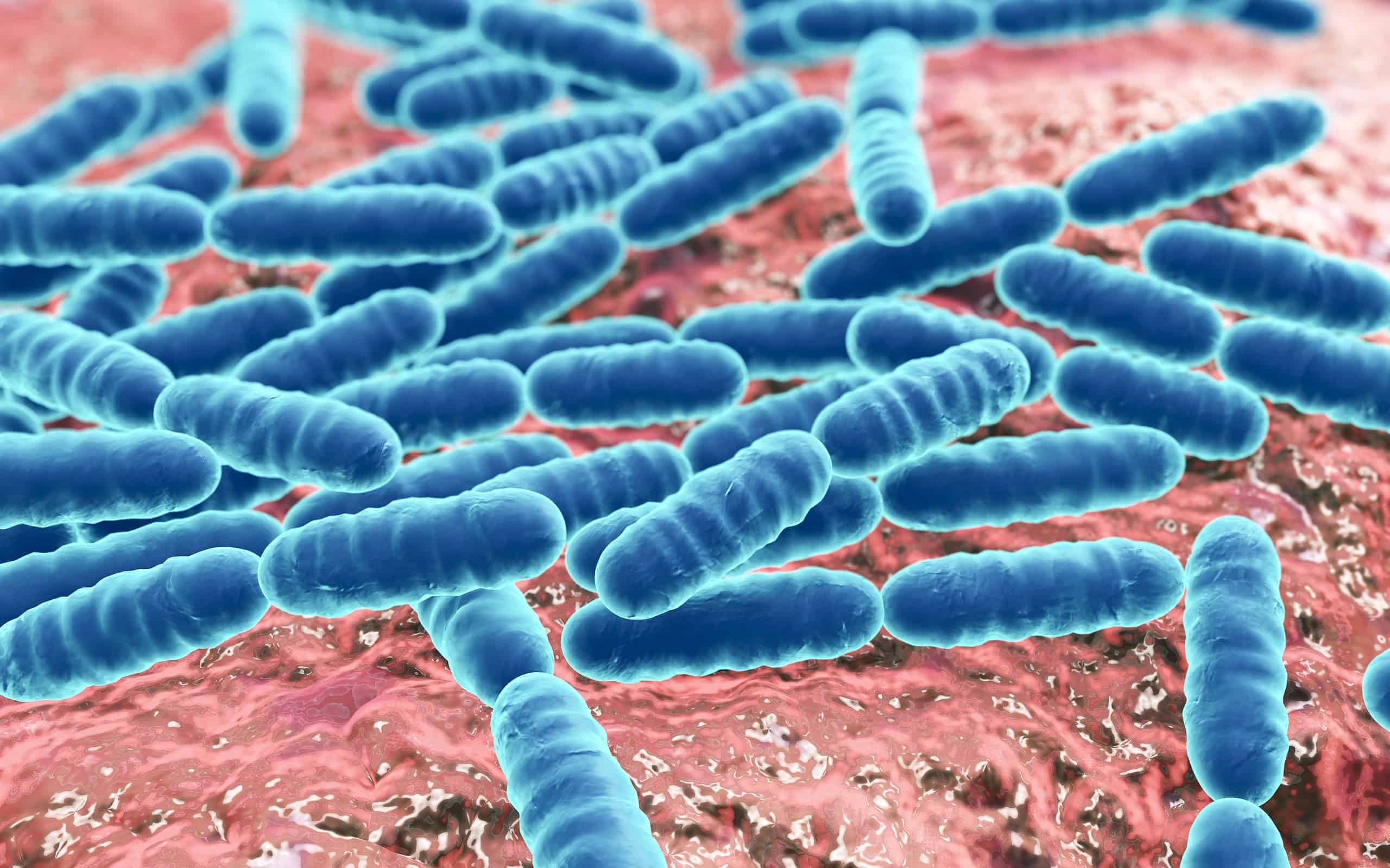 Biological Toxin Weapons