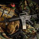 M16A1 (Early Vietnam Variant)