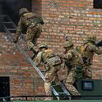 Carbon-Fiber Assault Ladder