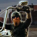 The Major Gangs Present in Different U.S. States