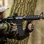 28. Colt M16 (Series)