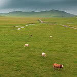 The Reality of the Statistics