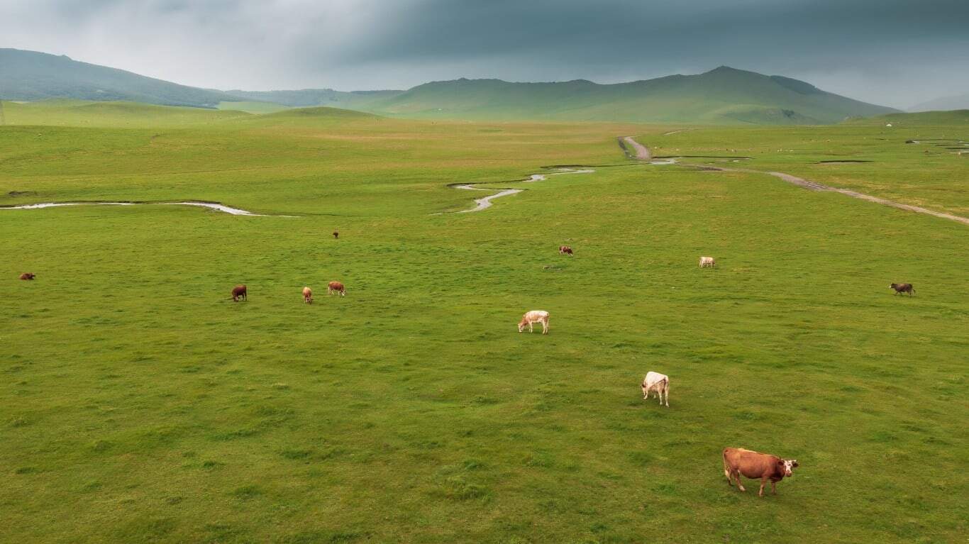 The Reality of the Statistics