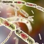 These 25 Weapons Were So Brutal They Had to Be Banned From War