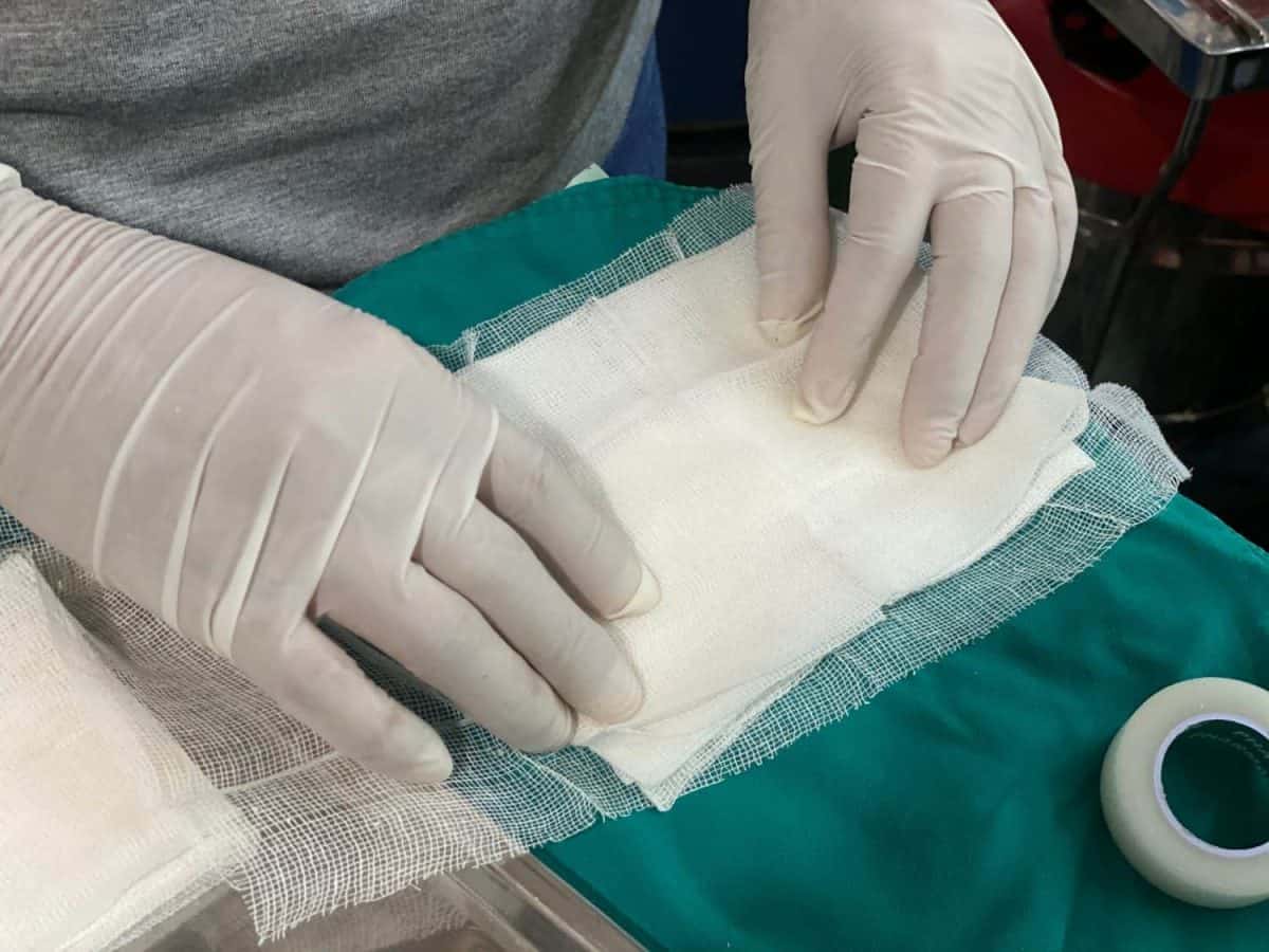 Nurse prepare gauze to dressing would.