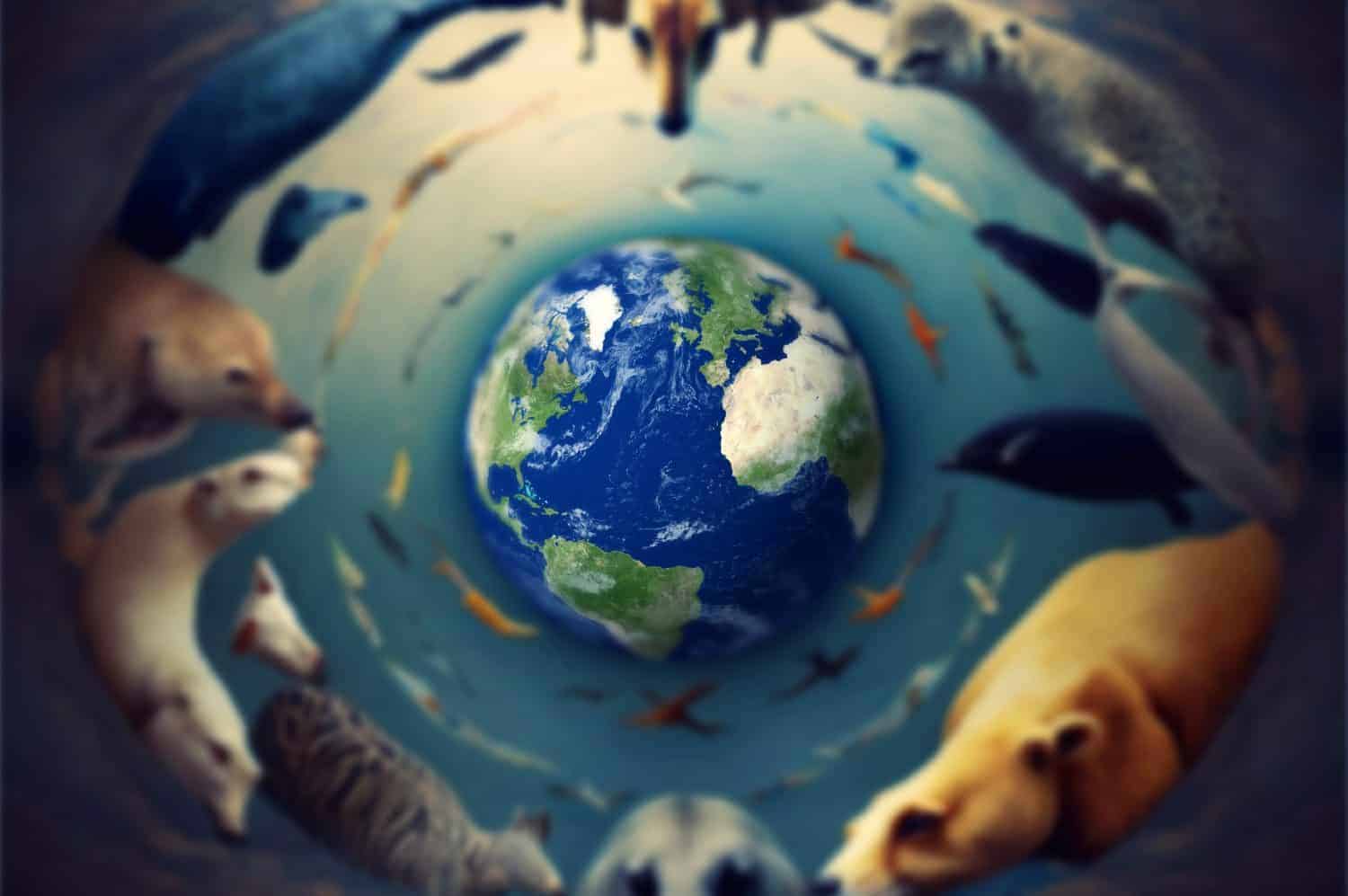 Environmental Concern