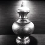 Hidden Ashes Scattered at Disney Parks