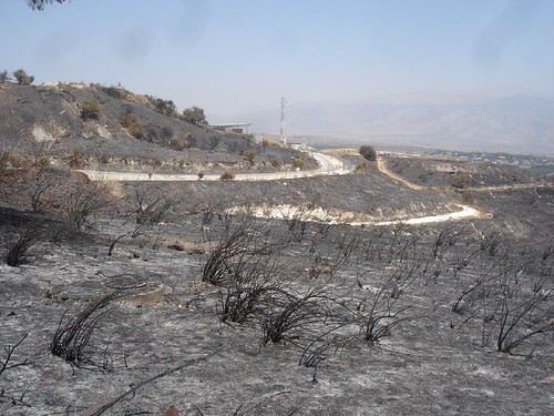 Scorched earth