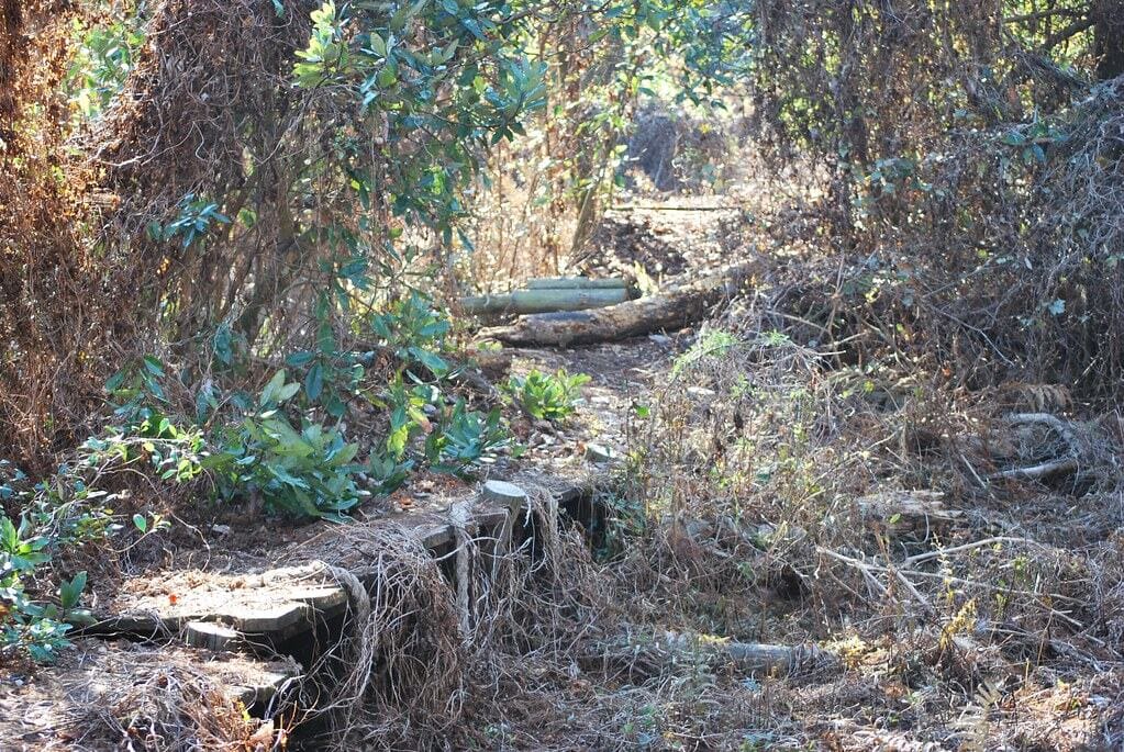Abandoned Disney Parks