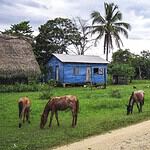 4. Belize