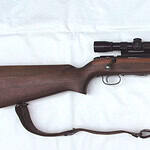 Remington Model 513T