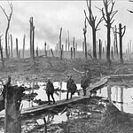 Answer: The Marshall Plan