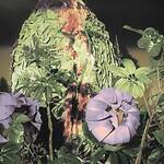 "Little Shop of Horrors" (1986)
