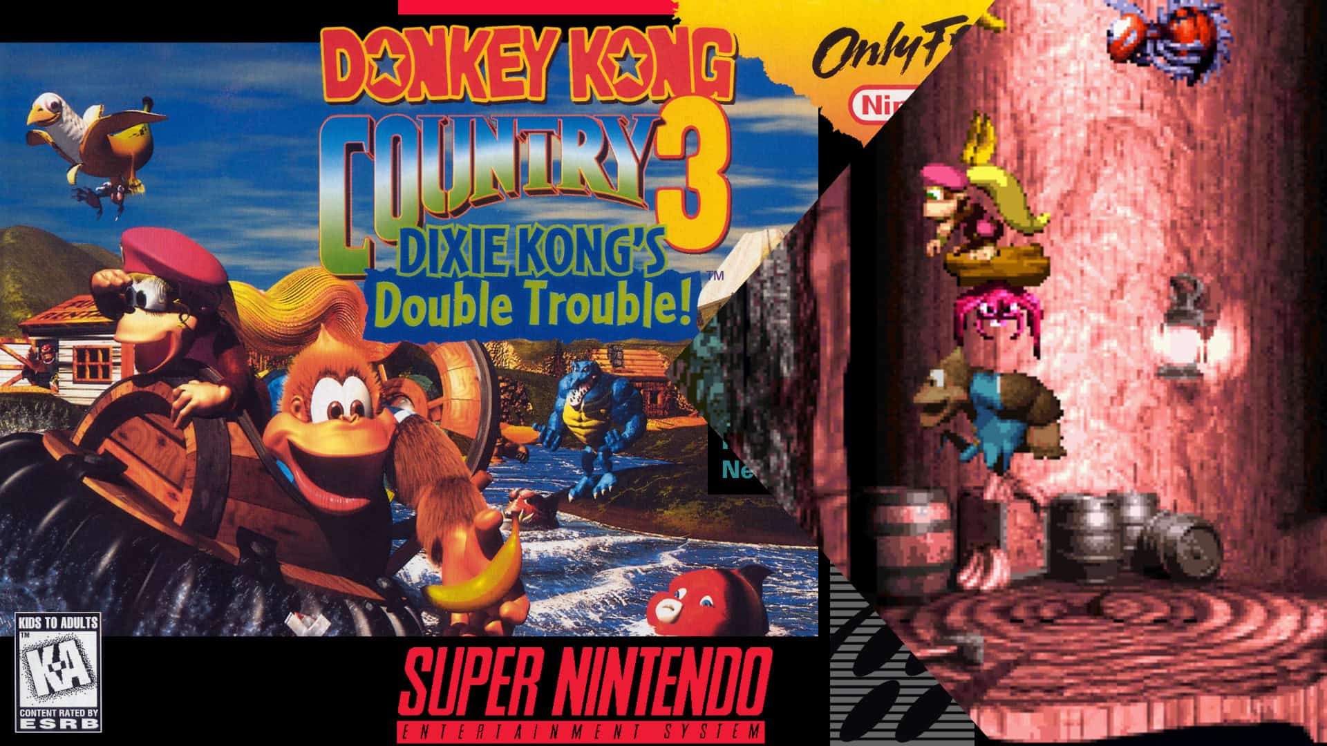 Donkey Kong Country 3: Dixie Kong's Double Trouble!