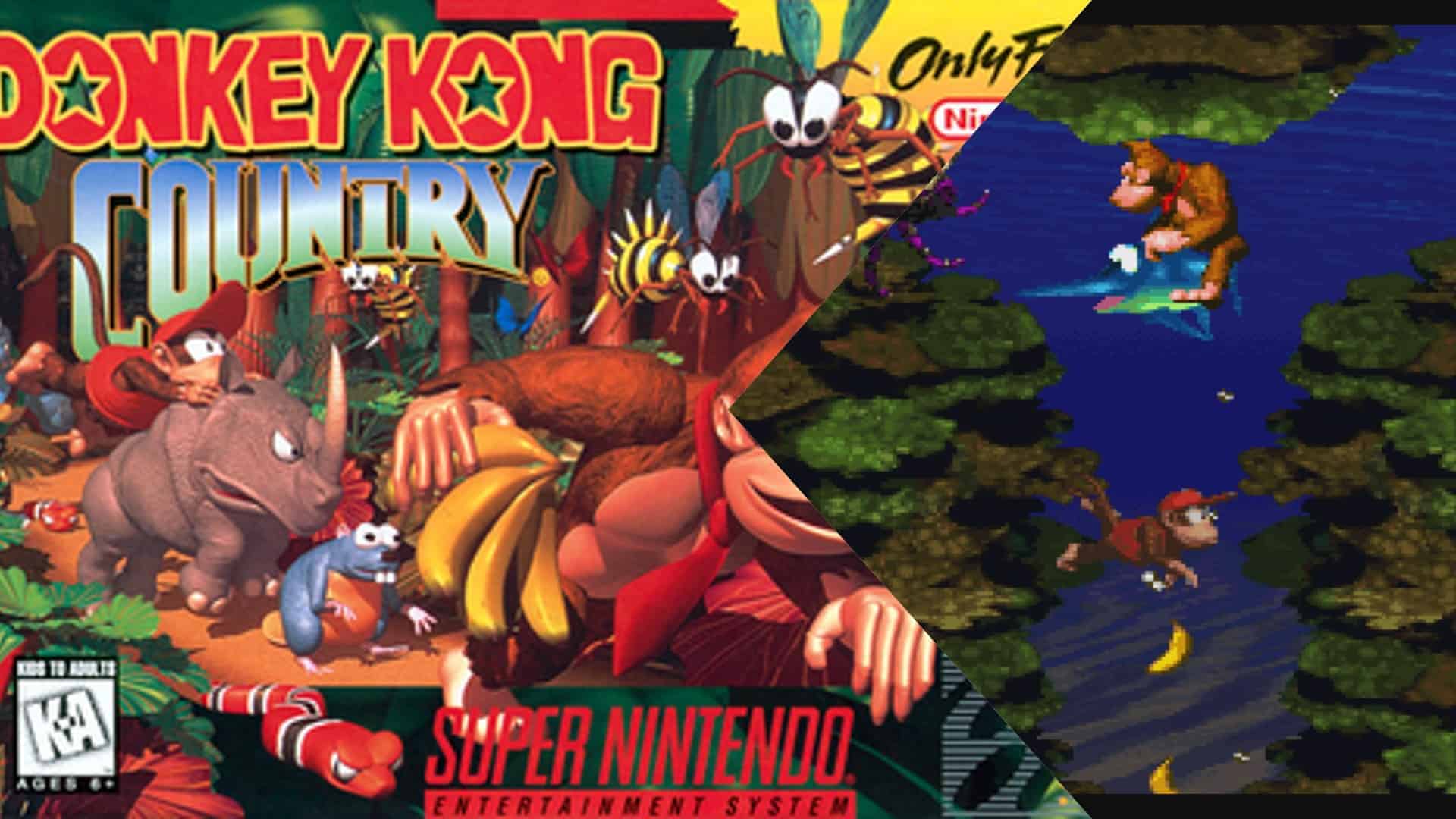 Donkey Kong Country
