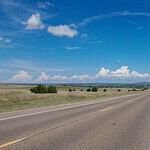 New Mexico: Alamo