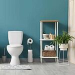 The Flush Toilet