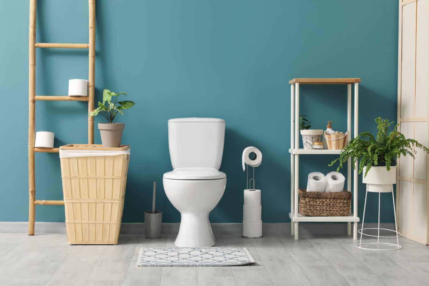 The Flush Toilet
