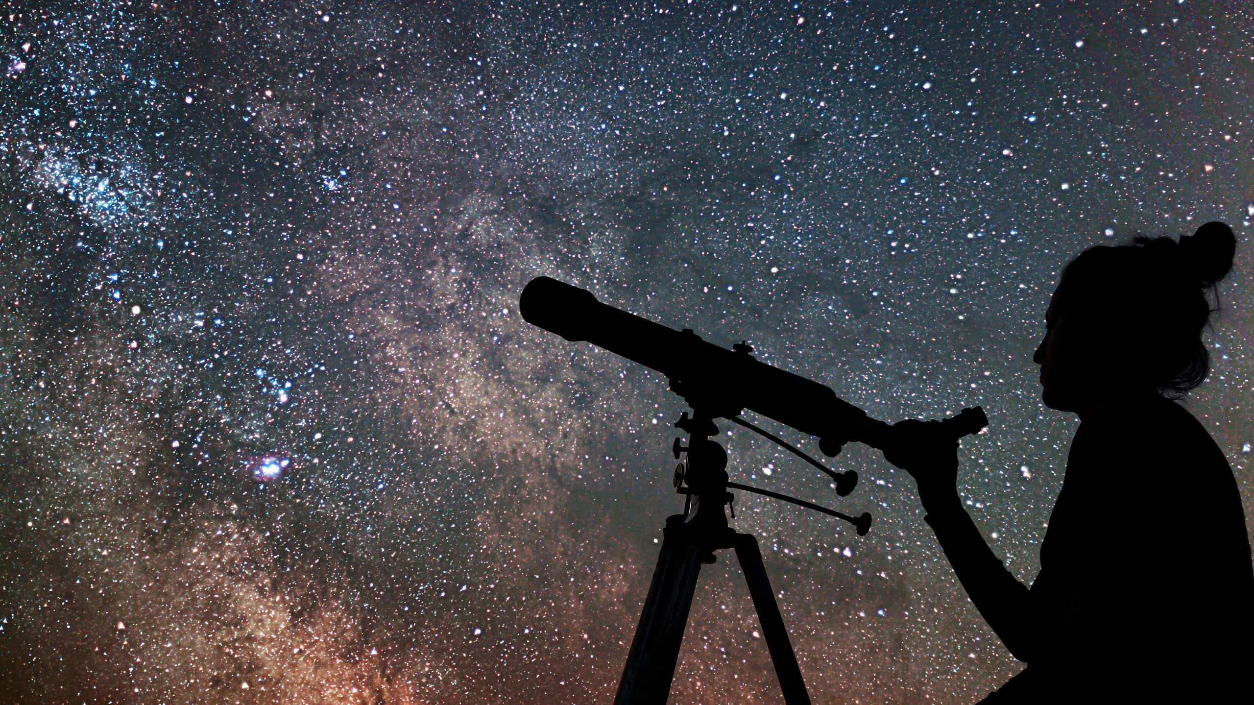 These Questions Reveal How Humans Understand the Universe