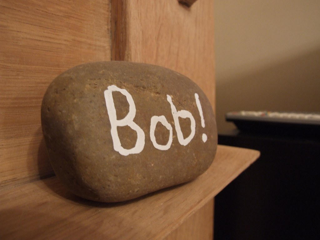 Pet Rock - Bob