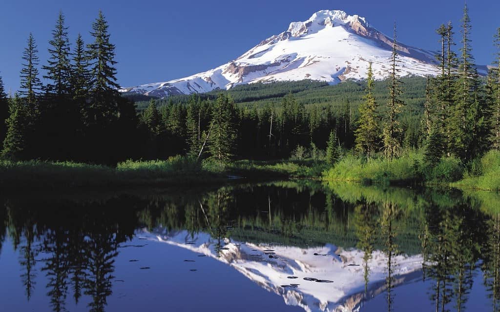 Oregon