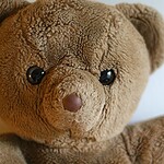4. Teddy Bear