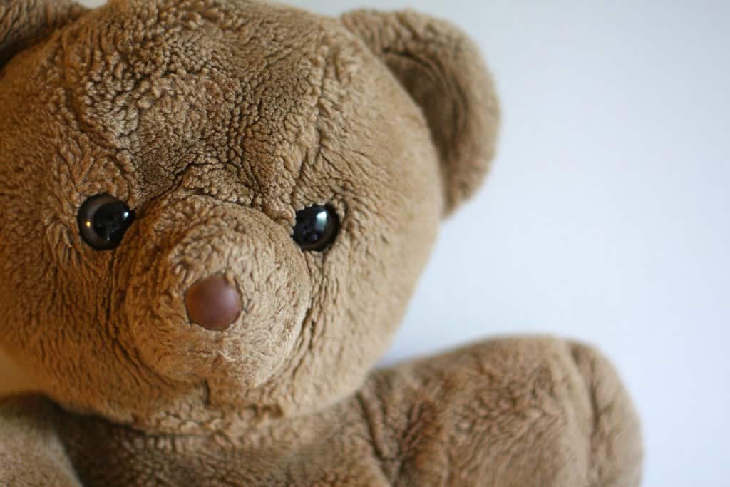 4. Teddy Bear