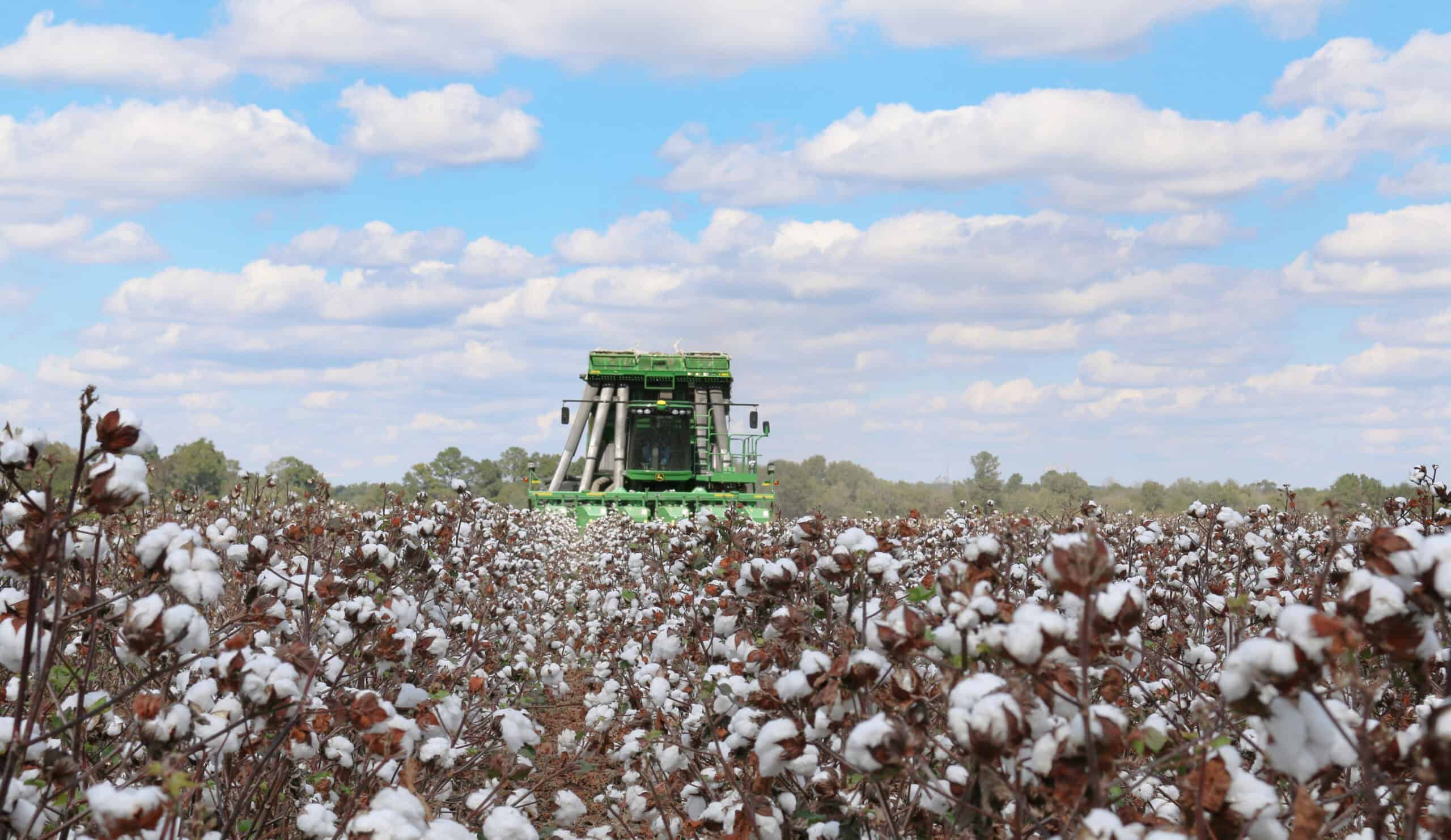 Mechanical Cotton Picker