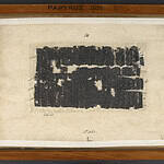 Herculaneum Papyri