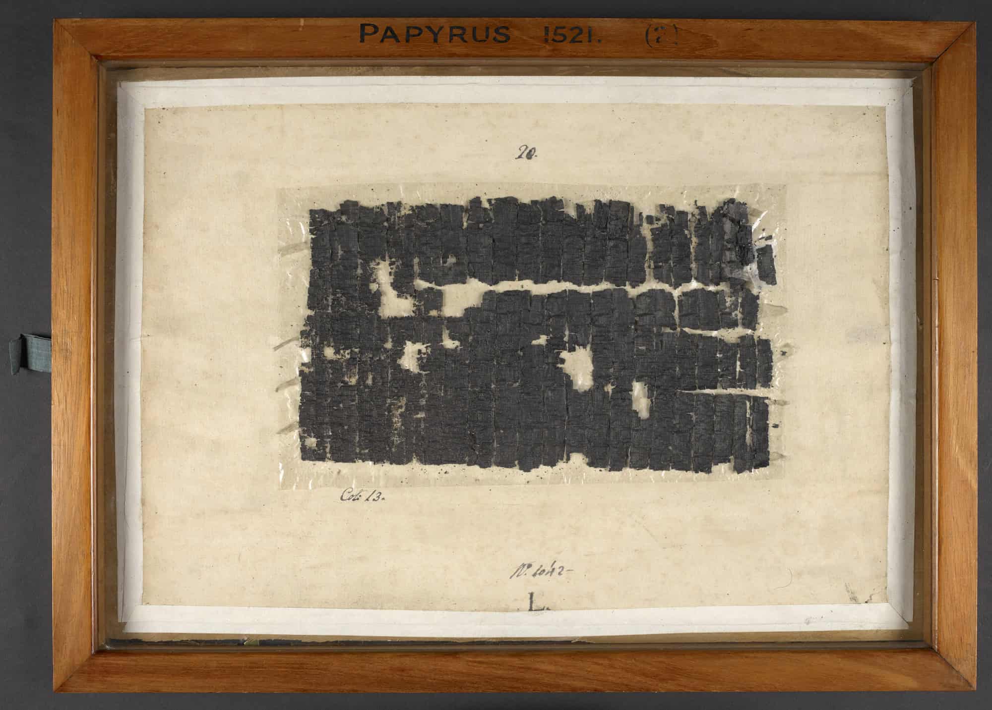 Herculaneum Papyri