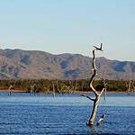 Kariba Dam