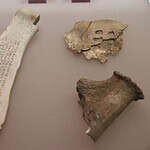 Shang Oracle Bones
