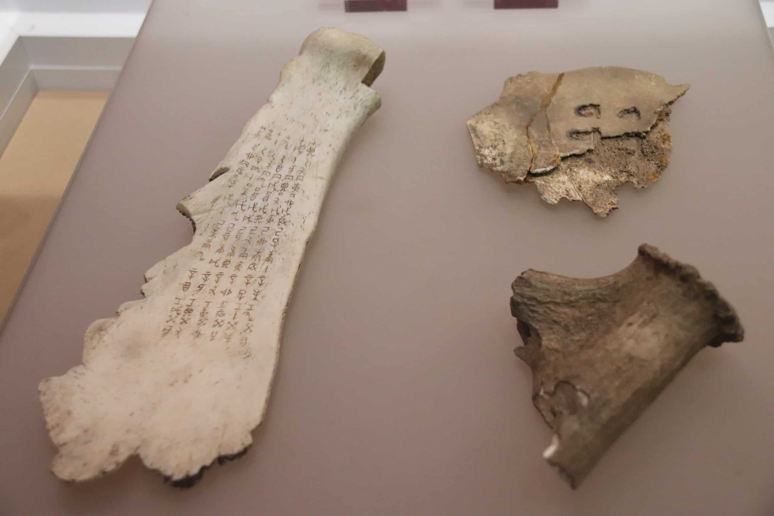 Shang Oracle Bones