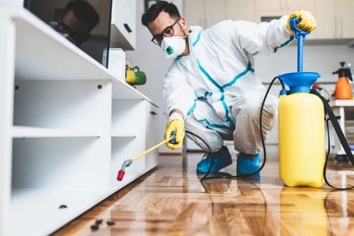 DDT Household Spraying