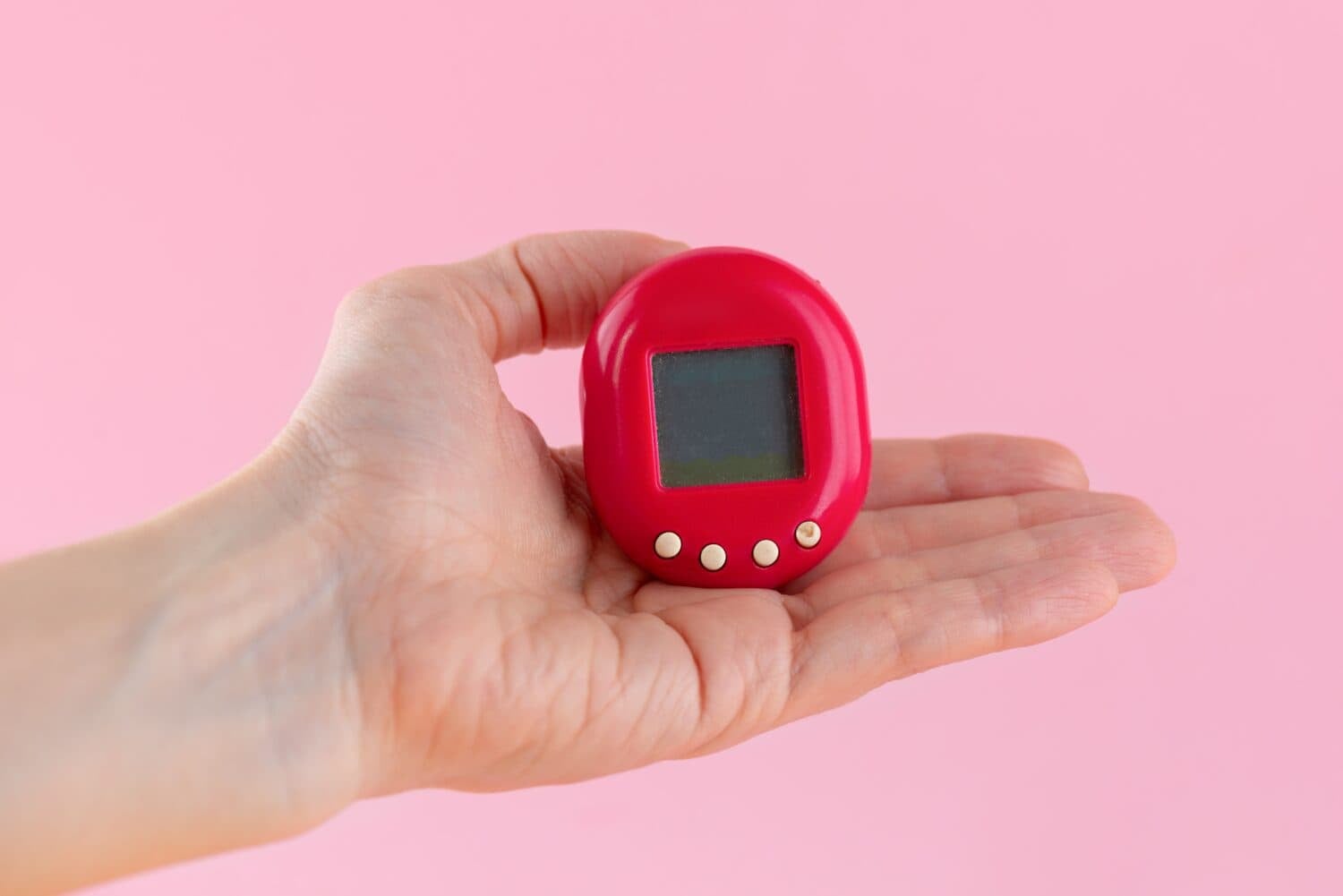 Caring For Your Tamagotchi