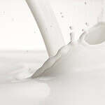 The "Got Milk?" Campaign