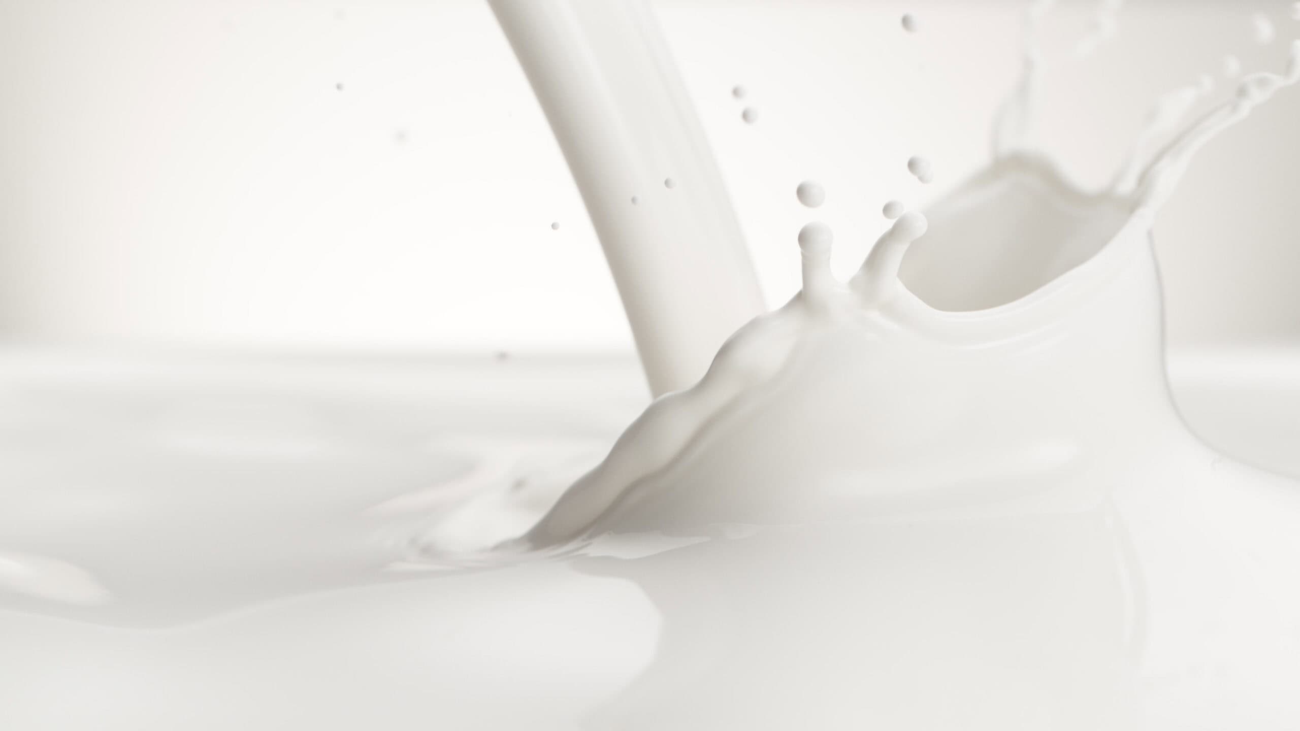 The "Got Milk?" Campaign
