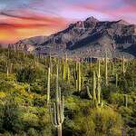 Arizona