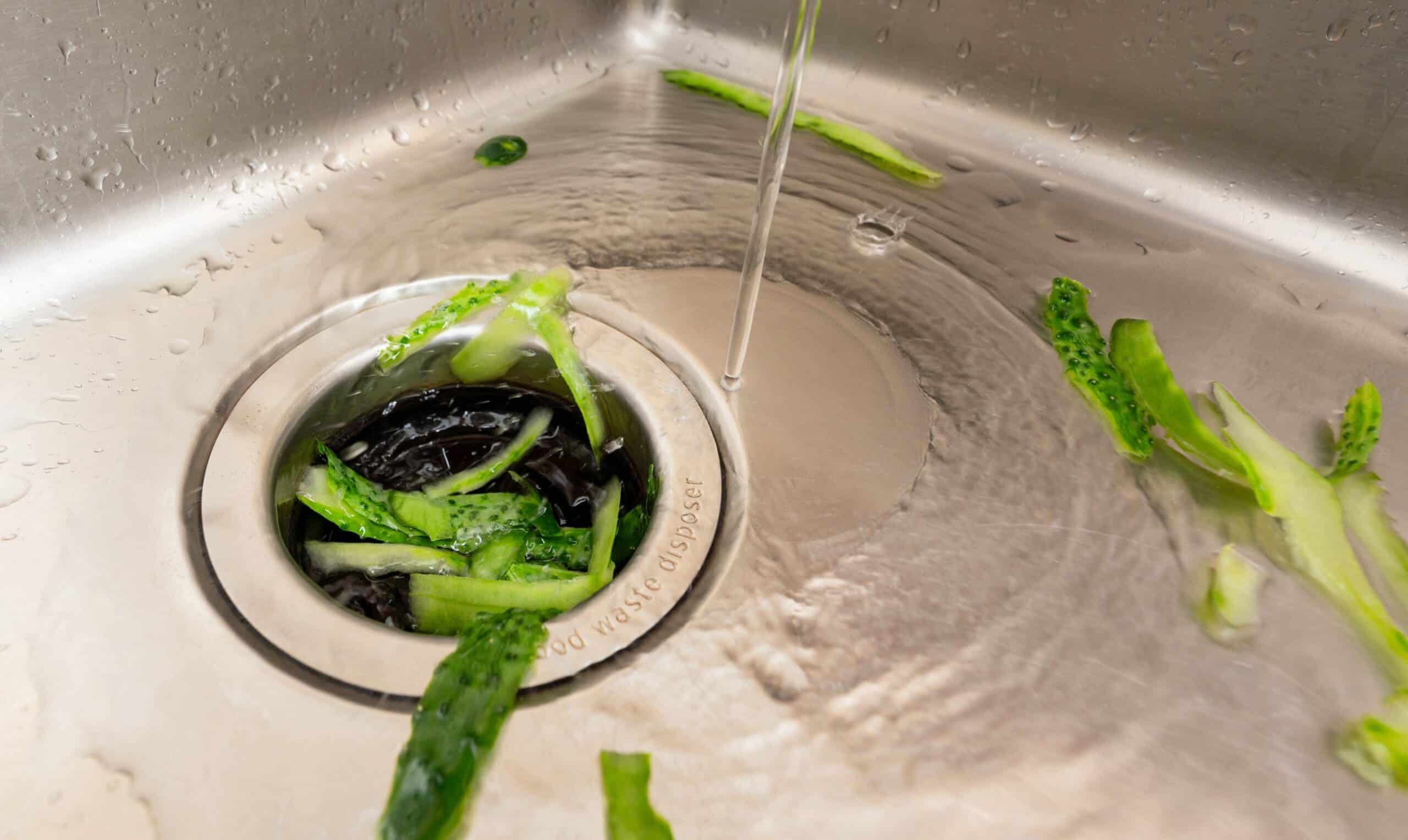Having a Garbage Disposal Built Into the Kitchen Sink